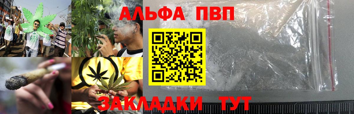 Альфа ПВП СК Котельники
