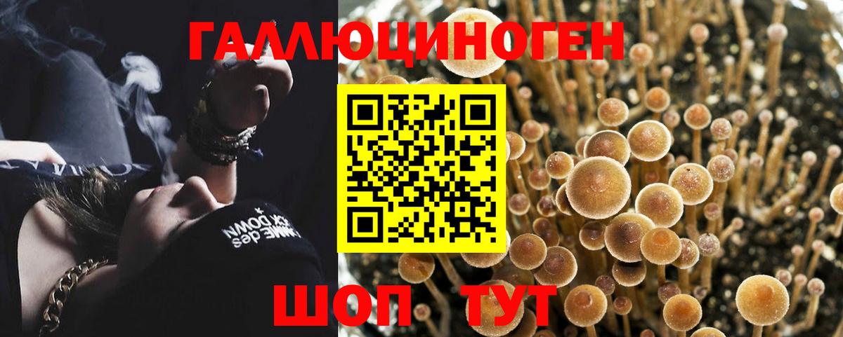 Псилоцибиновые грибы прущие грибы Котельники