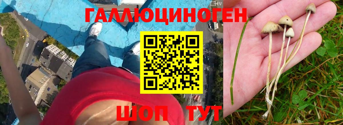 Котельники  Псилоцибиновые грибы Magic Shrooms  Вход с VPN 